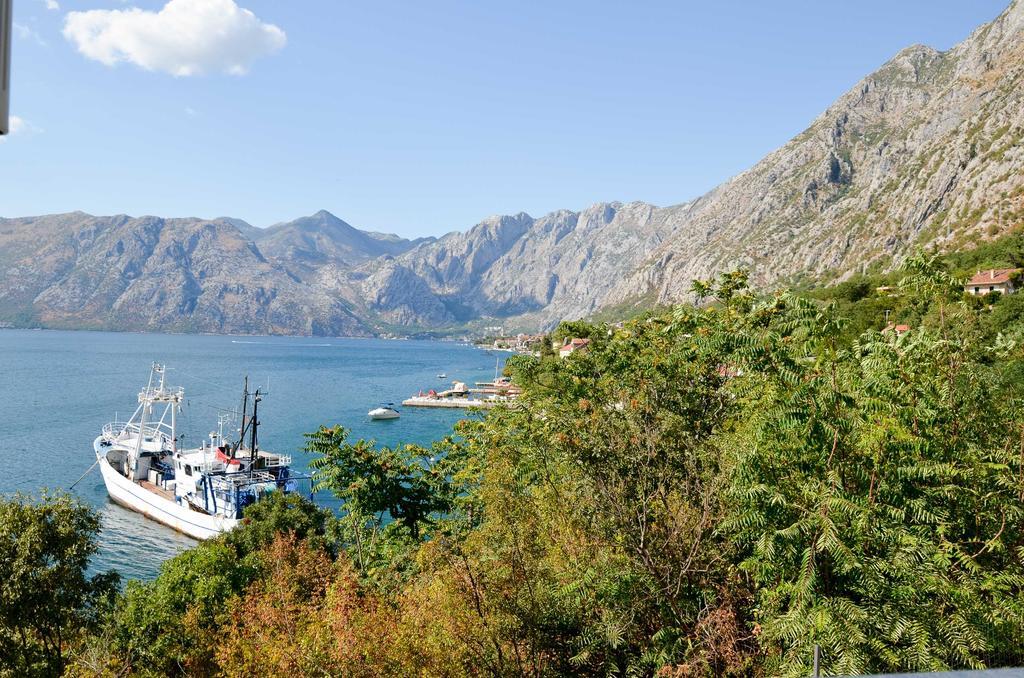 Guesthouse Grotta Di Nicola 科托尔 外观 照片